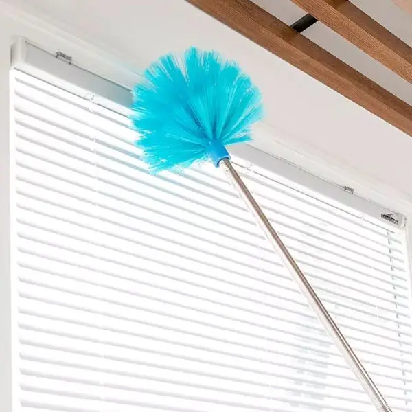 Small Cobweb Removal